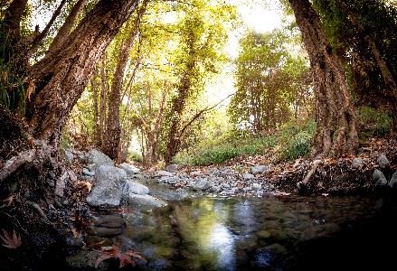 Troodos Mountains, Cyprus