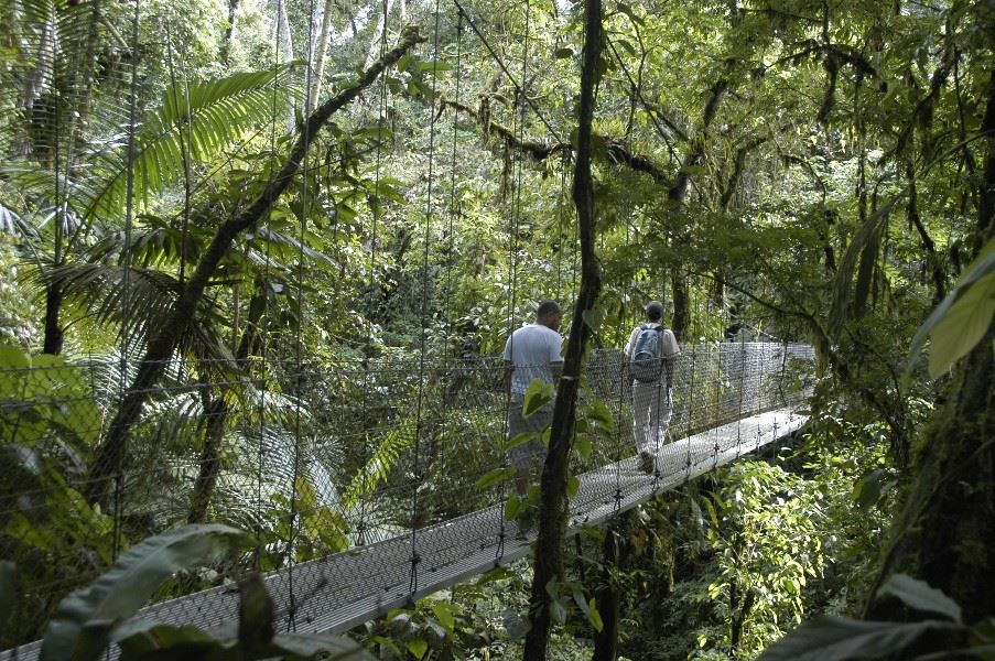 Hanging Bridges, Arenal