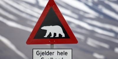 Polar bear warning sign, Svalbard, Norway