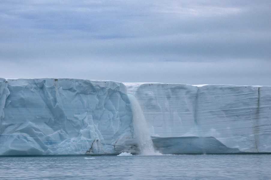 Brasvellbreen, Svalbard