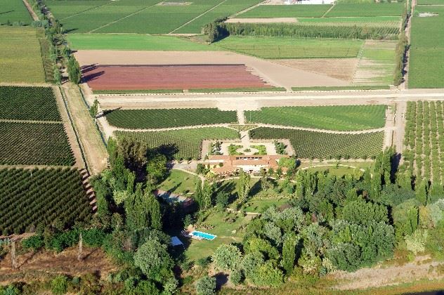 Aerial view, Vina La Playa, Chilean Central Valley, Chile