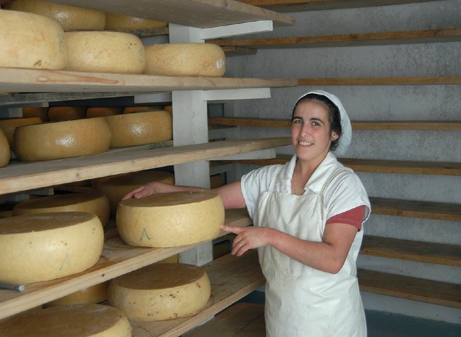 Cheese factory, Sao Jorge