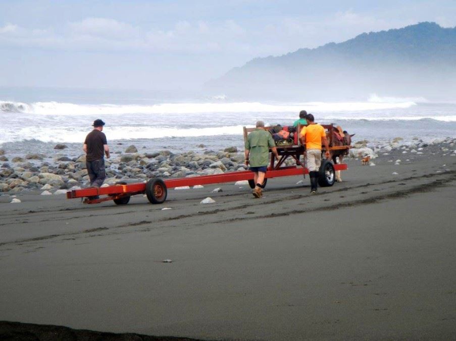 The horse and girders on the beach