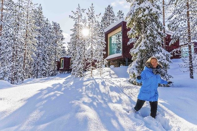 Arctic Treehouse Hotel, Rovaniemi, Lapland, Finland