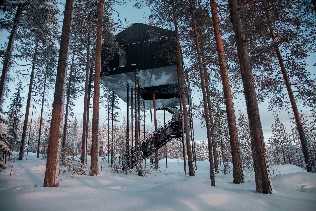 A Tree House Experience