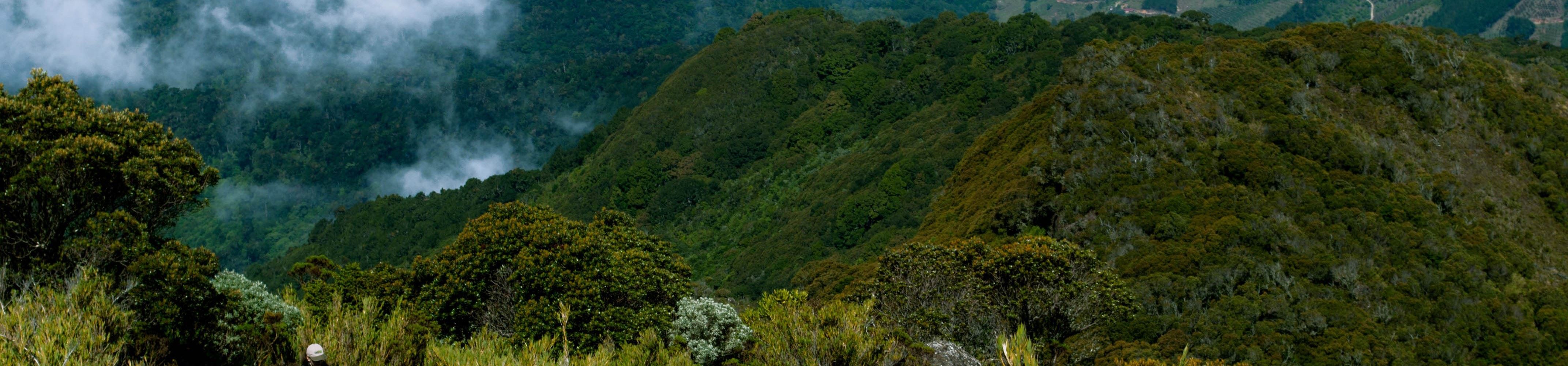 San Gerardo de Dota Holidays 2020/2021 | Costa Rica | Sunvil.co.uk