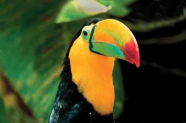 Costa Rica