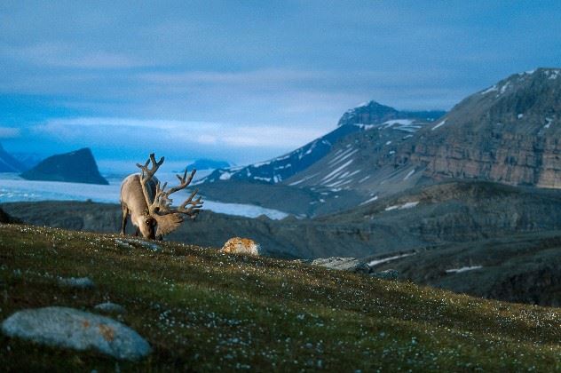 Longyearbyen, Svalbard