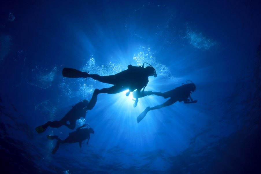 Diving off the coast of Santa Maria, The Azores