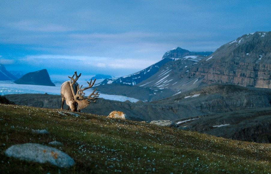 Longyearbyen, Svalbard