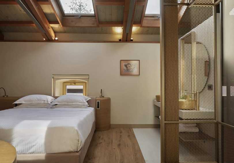 Attic Room with skylights