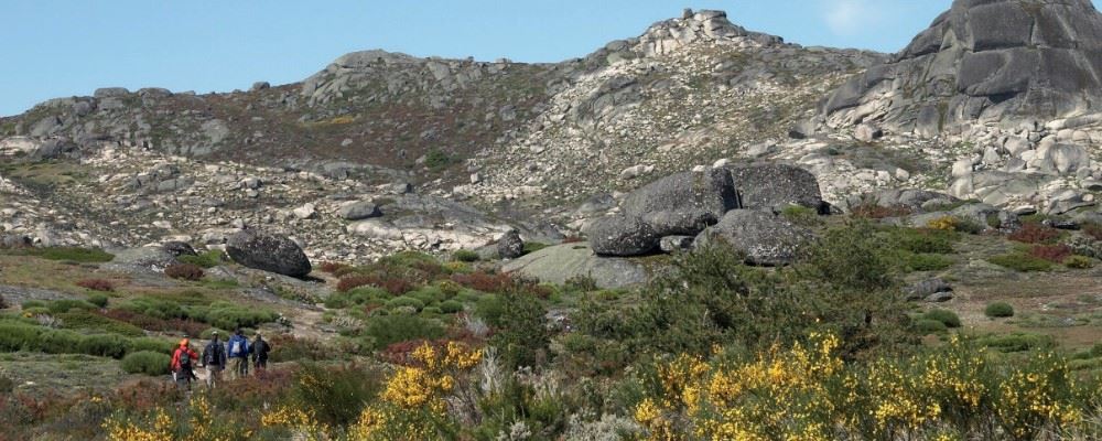 Serra da Estrela Natural Park, Centro
