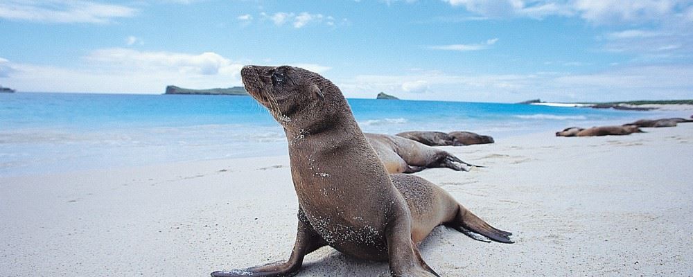 Galapagos Islands