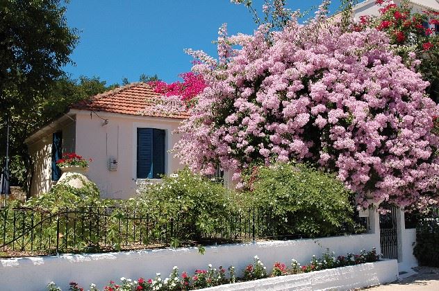 Eleni's Cottage, Fiscardo, Kefalonia