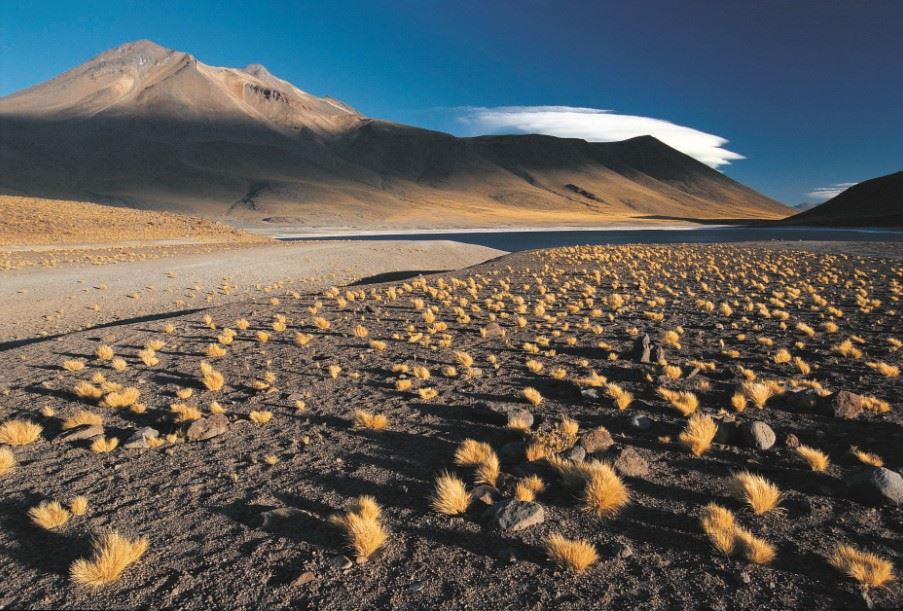 Atacama desert