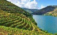 Douro Valley, Portugal