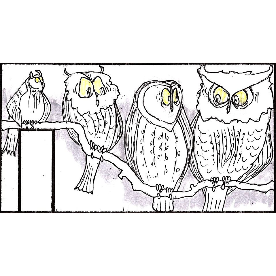 Parliament Of Owls